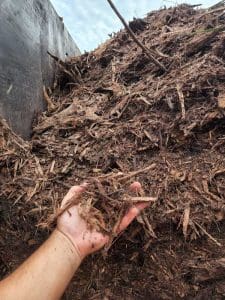 Hand holding brown wood chips.