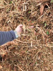 Hand holding brown wood chips.