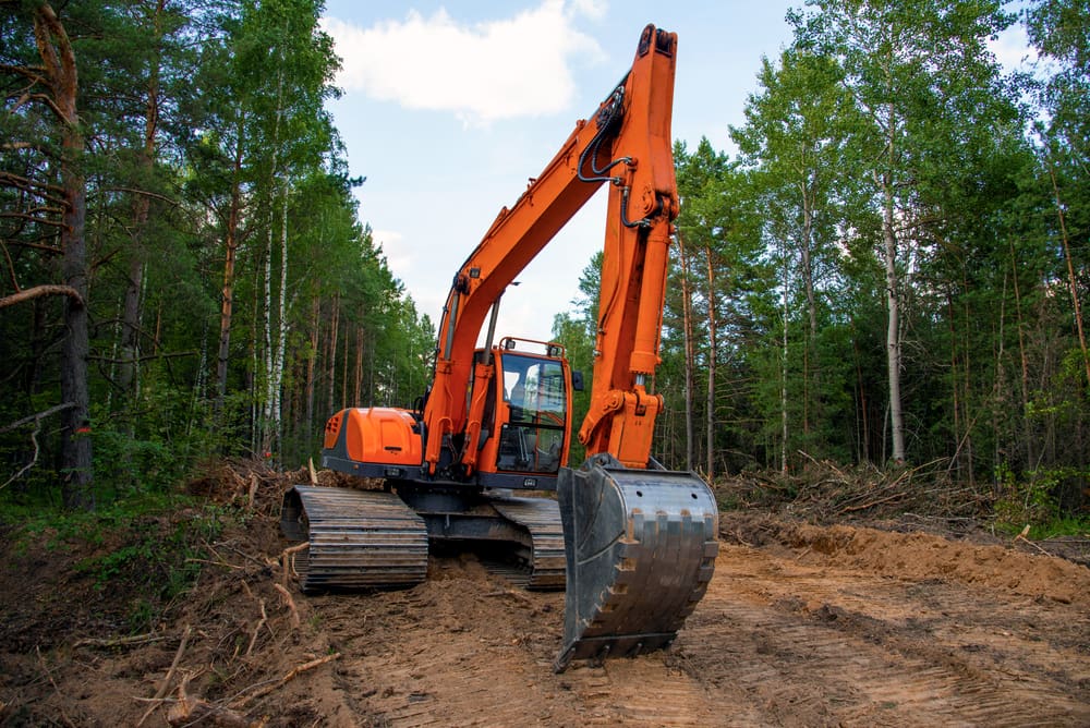 land clearing